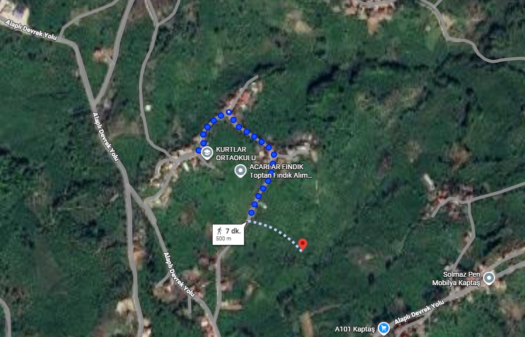 ZONGULDAK EREĞLİ ŞAMLAR KÖYÜNDE 1.636 M² FINDIK BAHÇESİ SATILIKTIR. - ZONGULDAK EREĞLİ fotoğraf 2